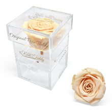 Load image into Gallery viewer, Acrylic Rose Case