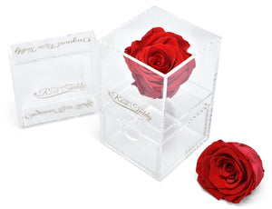Acrylic Rose Case